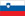 International football manager - Slovenia football manager