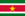 International football manager - Suriname football manager