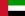 International football manager - United Arab Emirates football manager